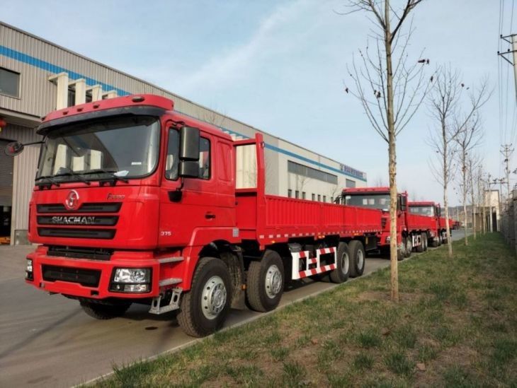 Le réservoir de carburant 400L camion camion SHACMAN F3000 8x4 camion 375HP néon rouge
